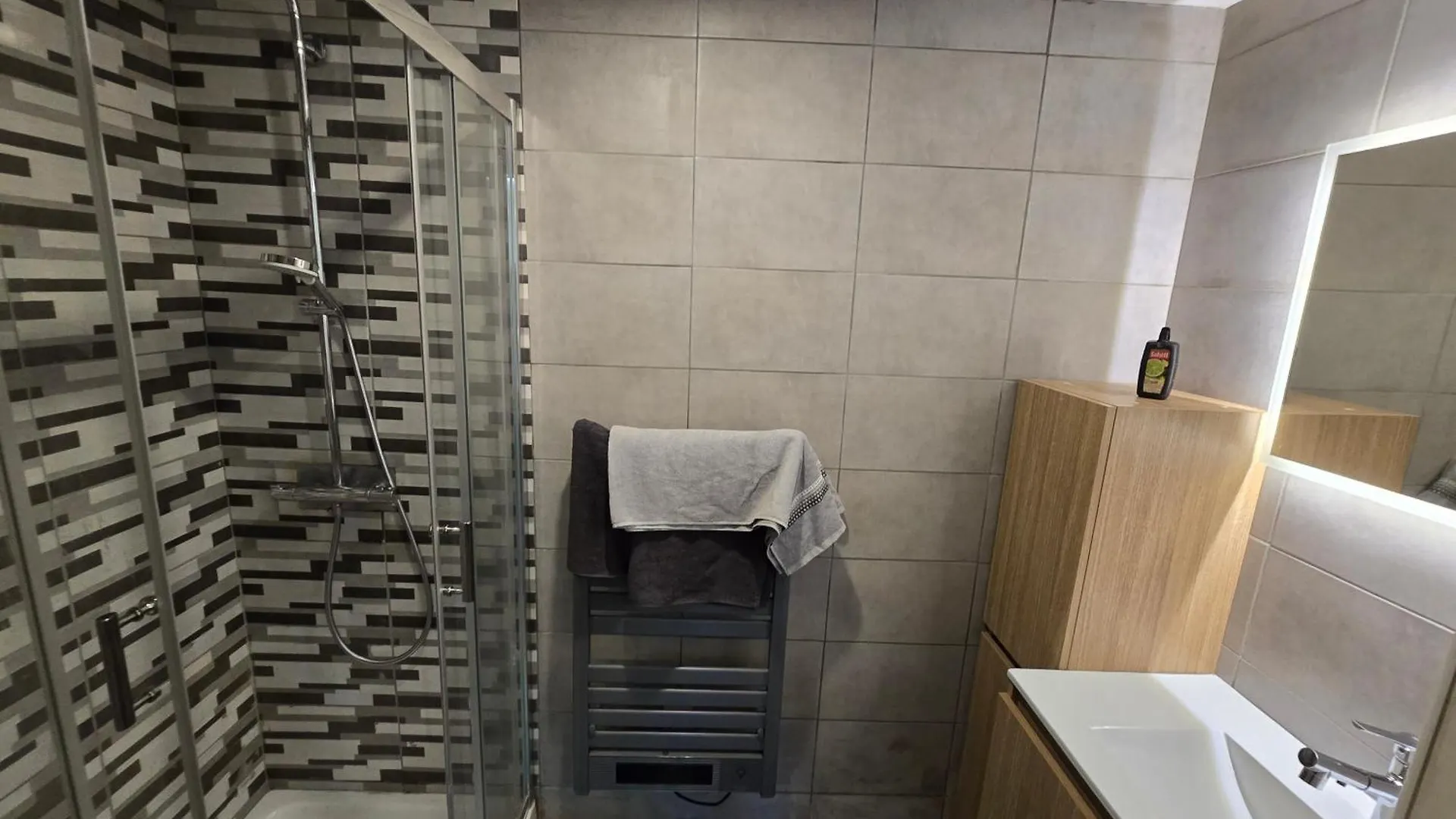 דירה Grand Logement Centre Foix 120M2-3Chambres-2Sdb-2Wc צרפת