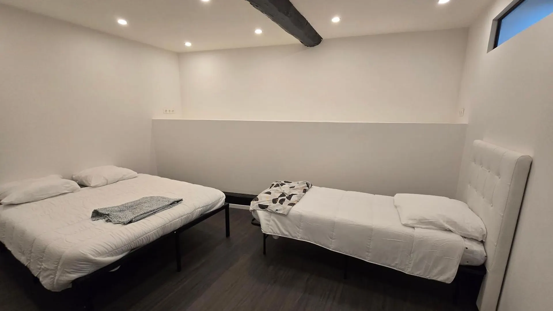 Daire Grand Logement Centre Foix 120M2-3Chambres-2Sdb-2Wc Fransa